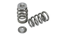 Kelford Valve Springs